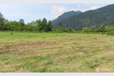 295 River Ranch Road, Randle, WA 98377 - Photo 11