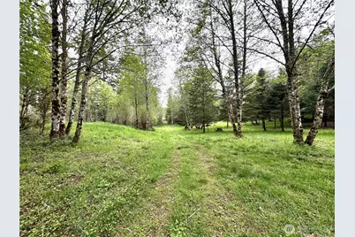 0 40 Acres 143rd Avenue SE, Tenino, WA 98589 - Photo 9