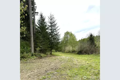 0 40 Acres 143rd Avenue SE, Tenino, WA 98589 - Photo 13