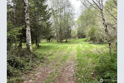 0 40 Acres 143rd Avenue SE, Tenino, WA 98589 - Photo 5