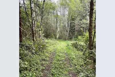 0 40 Acres 143rd Avenue SE, Tenino, WA 98589 - Photo 11