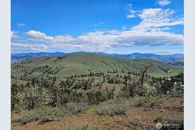 0 Lot #70 Whitebark Lane, Winthrop, WA 98862 - Photo 19