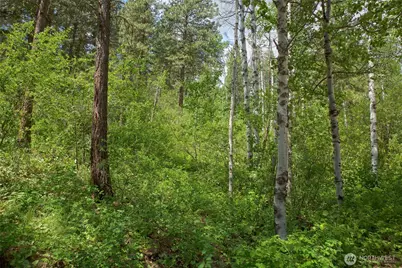 0 Lot #70 Whitebark Lane, Winthrop, WA 98862 - Photo 13