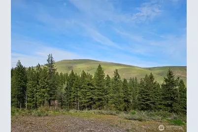 0 Lot #70 Whitebark Lane, Winthrop, WA 98862 - Photo 7