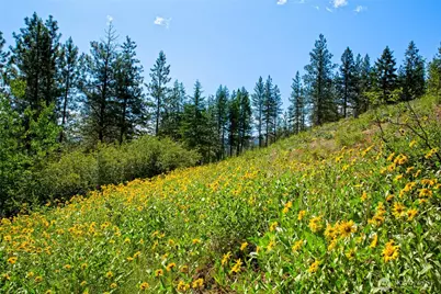 0 Lot #70 Whitebark Lane, Winthrop, WA 98862 - Photo 9