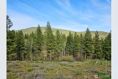 0 Lot #70 Whitebark Lane, Winthrop, WA 98862 - Photo 3