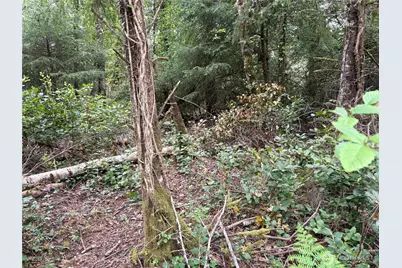 285 Xx Z Street, Ocean Park, WA 98640 - Photo 9
