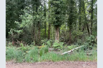 285 Xx Z Street, Ocean Park, WA 98640 - Photo 1