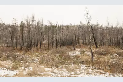 227 Lot 17 Red Feather Road, Tonasket, WA 98855 - Photo 33