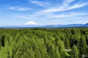 15312 Sunnyside Ln SE, Yelm, WA 98597 - Photo 1