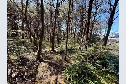 1005 Sand Castle Lane, Westport, WA 98595 - Photo 29