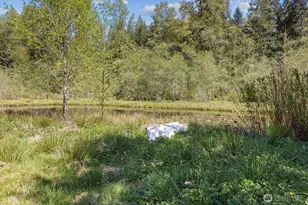 121 N Carpenter Rd, Snohomish, WA 98290 - Photo 37