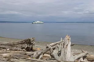 6779 Columbia Beach Dr, Clinton, WA 98236 - Photo 5