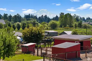 3216 92nd St E, Tacoma, WA 98446 - Photo 39