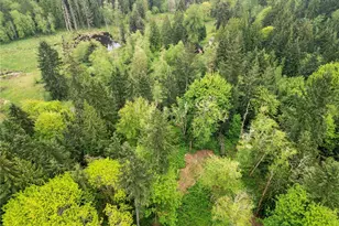 1527 Newberg Rd, Snohomish, WA 98290 - Photo 27