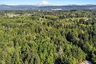 13315 278th St E, Graham, WA 98338 - Photo 1