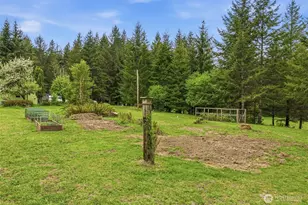 1047 Beaver Creek Rd, Cathlamet, WA 98612 - Photo 37
