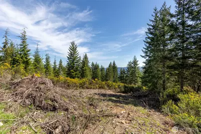 778899 N Hamma Ridge Drive, Lilliwaup, WA 98555 - Photo 9