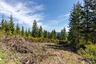 778899 N Hamma Ridge Dr, Lilliwaup, WA 98555 - Photo 9