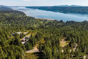 778899 N Hamma Ridge Dr, Lilliwaup, WA 98555 - Photo 13