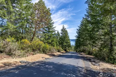 778899 N Hamma Ridge Drive, Lilliwaup, WA 98555 - Photo 11