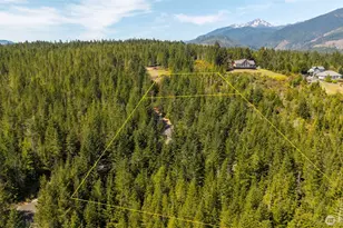 778899 N Hamma Ridge Dr, Lilliwaup, WA 98555 - Photo 3