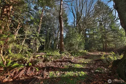 0 Xxx Cultus Bay Road, Clinton, WA 98236 - Photo 11