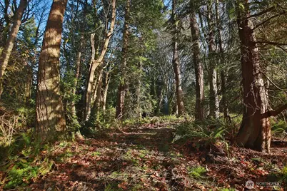0 Xxx Cultus Bay Road, Clinton, WA 98236 - Photo 9