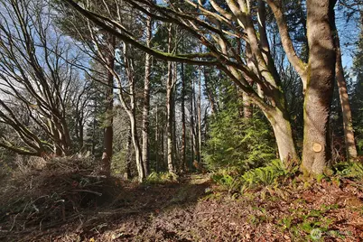 0 Xxx Cultus Bay Road, Clinton, WA 98236 - Photo 13