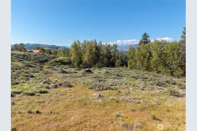 265 East Chewuch Road, Winthrop, WA 98862 - Photo 15
