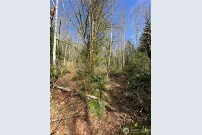 [Address not provided], Arlington, WA 98223 - Photo 3
