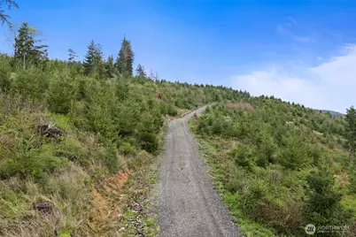 1785 Big Hanaford Road, Centralia, WA 98531 - Photo 11