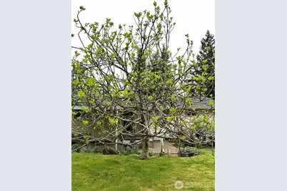 13029 SE 206 Place, Kent, WA 98031 - Photo 21