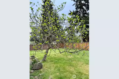 13029 SE 206 Place, Kent, WA 98031 - Photo 19