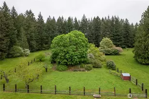 12915 412 St E, Eatonville, WA 98328 - Photo 35