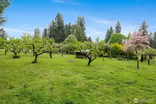 12915 412 St E, Eatonville, WA 98328 - Photo 33