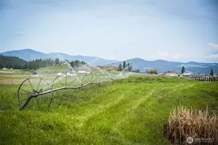 2536 Heine Rd, Chewelah, WA 99109 - Photo 11