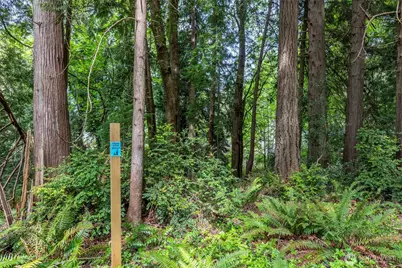 13502 Goodnough Drive NW, Gig Harbor, WA 98332 - Photo 5