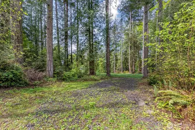 13502 Goodnough Drive NW, Gig Harbor, WA 98332 - Photo 15