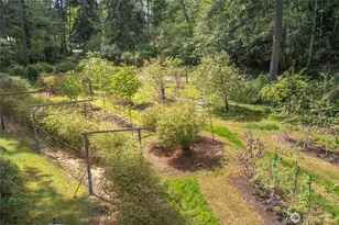 138 Milky Way, Orcas Island, WA 98245 - Photo 25