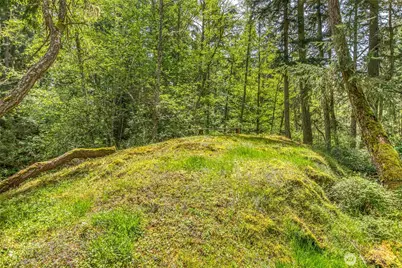 138 Milky Way, Orcas Island, WA 98245 - Photo 17