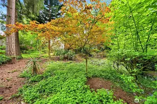 12326 24th Ave NE, Seattle, WA 98125 - Photo 35