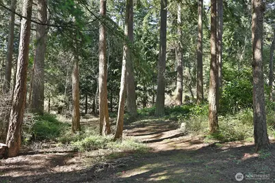 2693 North Bluff Road, Greenbank, WA 98253 - Photo 35