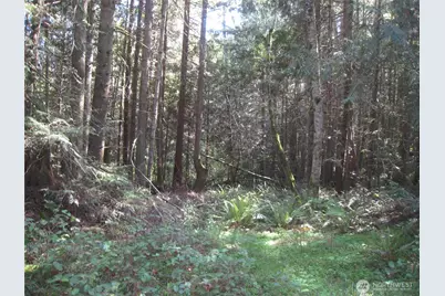146 Humble Hill Road, Sequim, WA 98382 - Photo 5