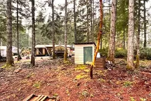 61 NE Madrona Ct, Tahuya, WA 98588 - Photo 13