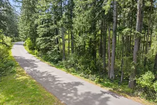 18336 E Clear Lake Blvd SE, Yelm, WA 98597 - Photo 1