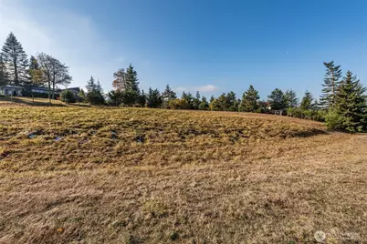 9999 Doe Run Road #Lot 4, Sequim, WA 98382 - Photo 23