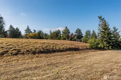 9999 Doe Run Road #Lot 4, Sequim, WA 98382 - Photo 17