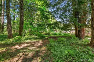 1909 Division St NW, Olympia, WA 98502 - Photo 31