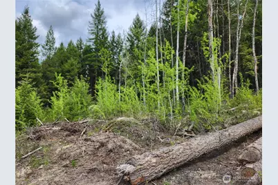 15 Wild Turkey Road, Republic, WA 99166 - Photo 25
